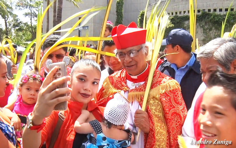cardenal