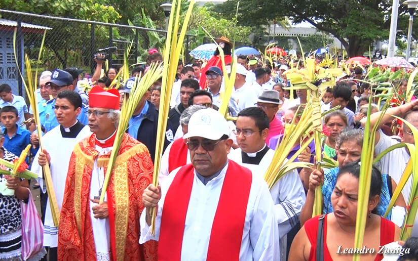 cardenal