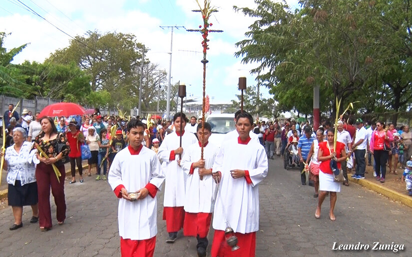 cardenal