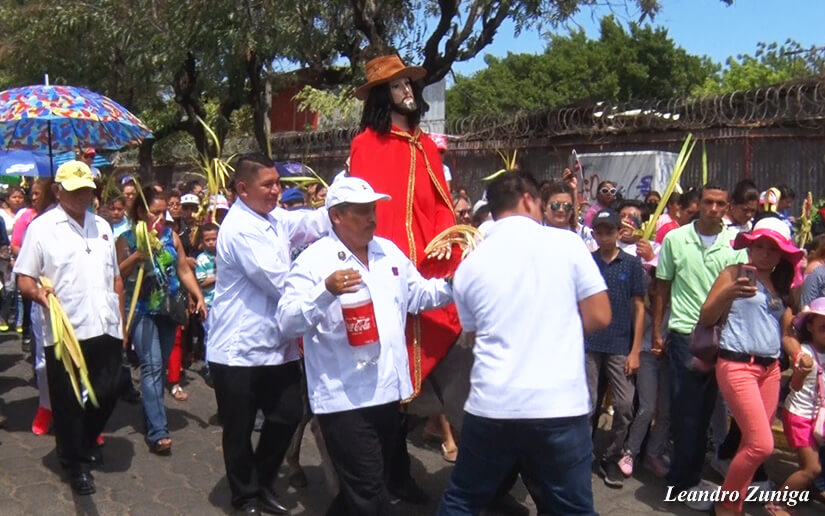 cardenal