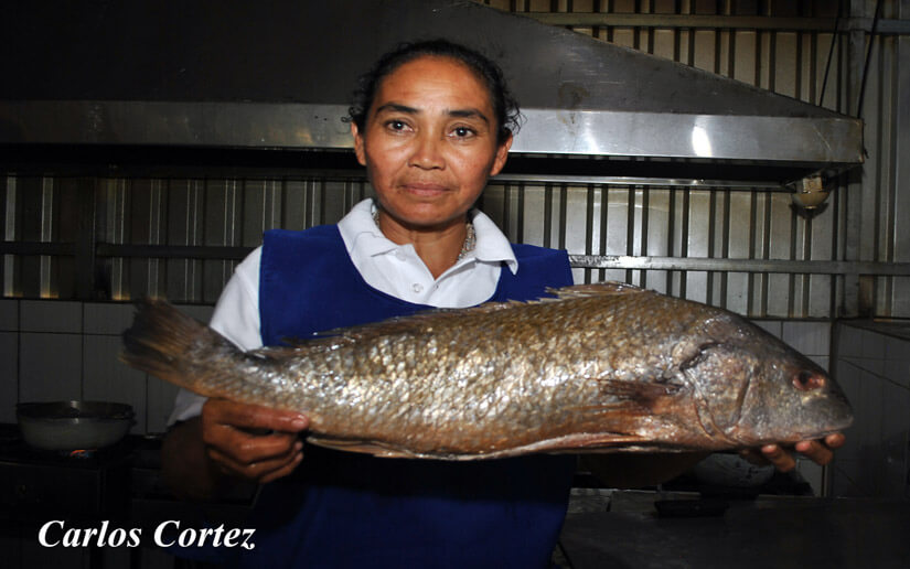 pescados