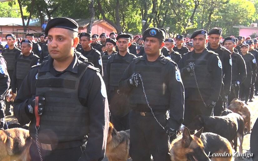 POLICIA