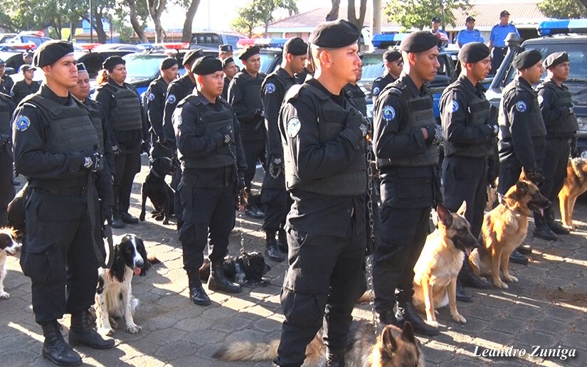 POLICIA