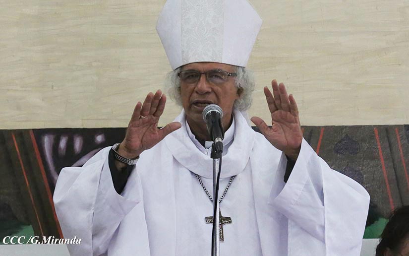 cardenal