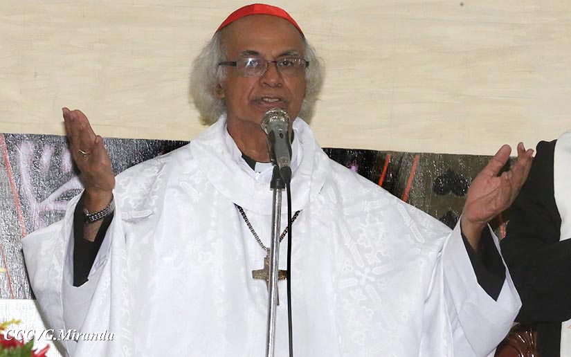 cardenal