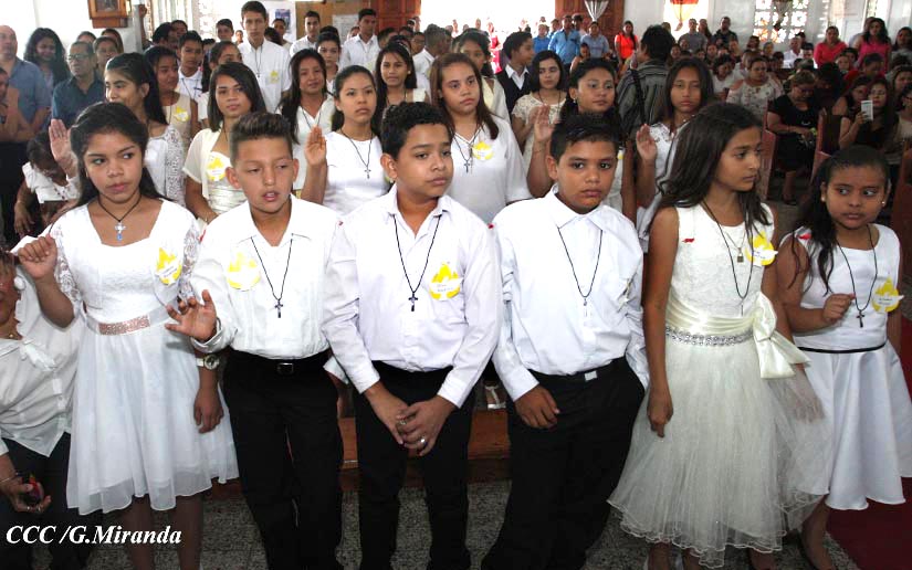 cardenal