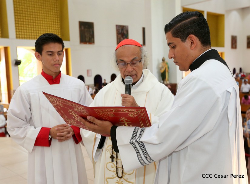 cardenal