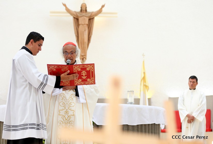 cardenal