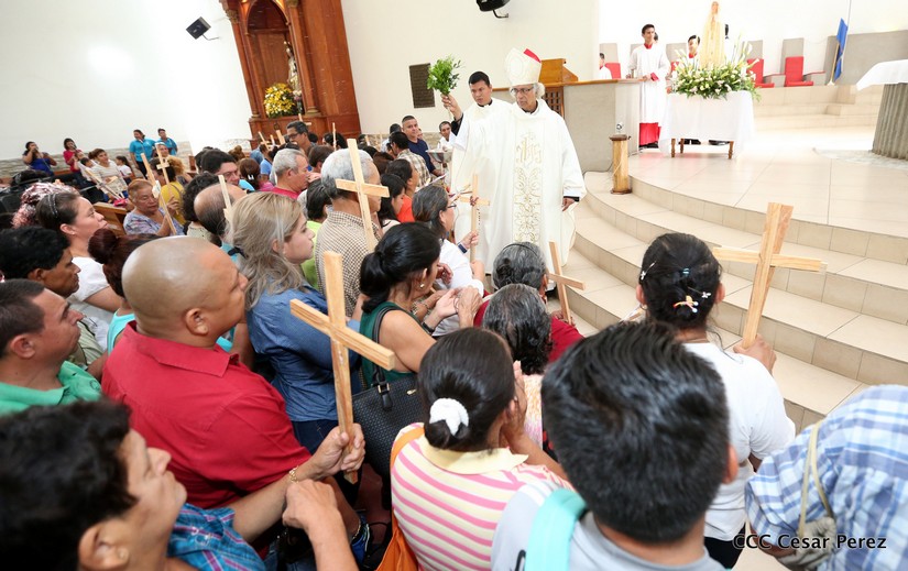 cardenal