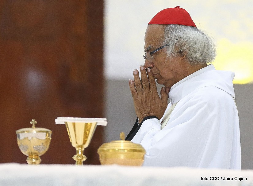 cardenal