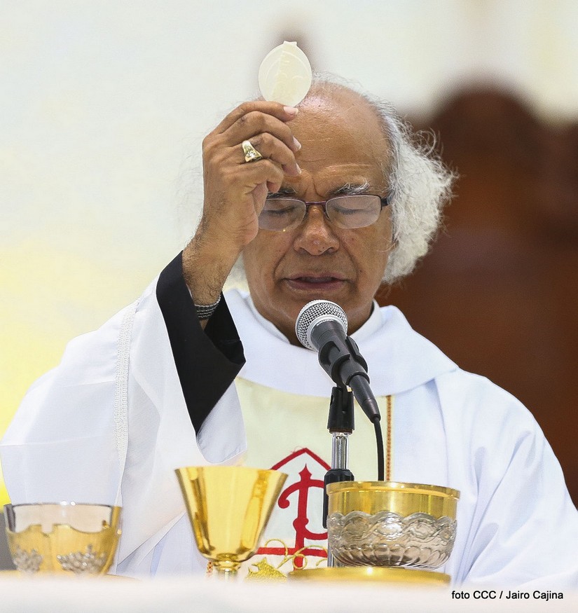 cardenal