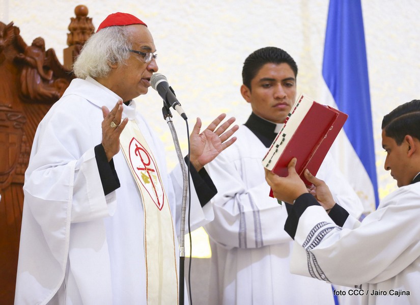 cardenal