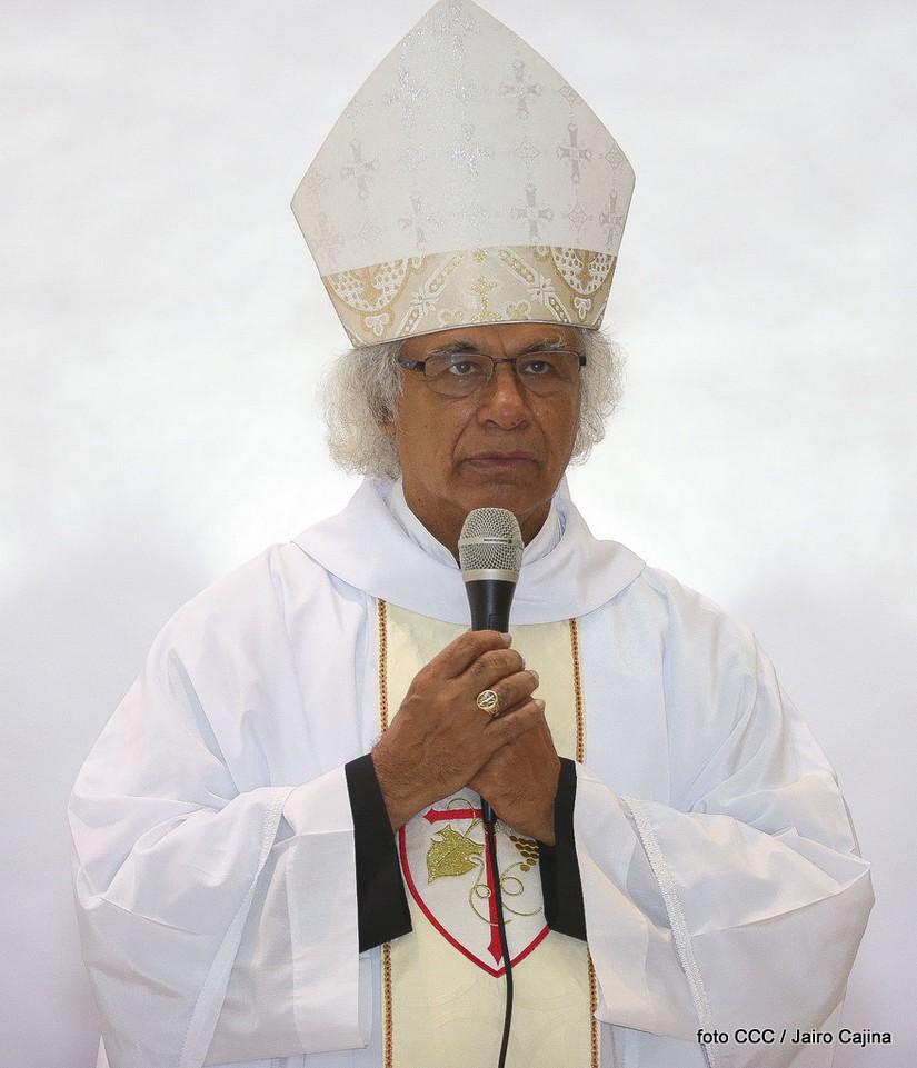 cardenal