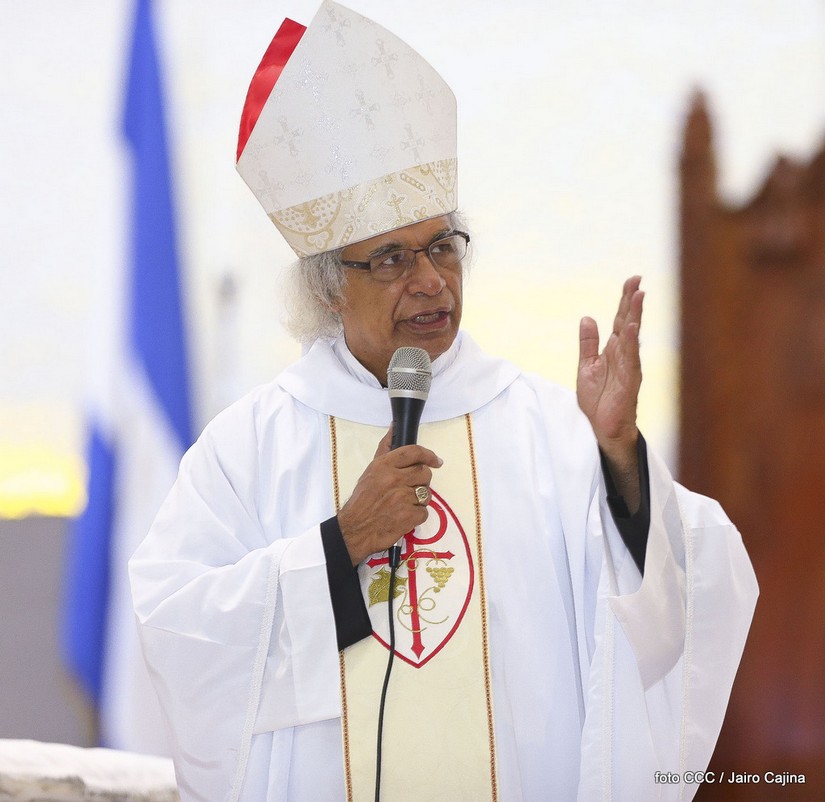 cardenal