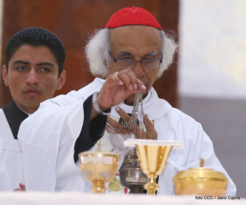 cardenal