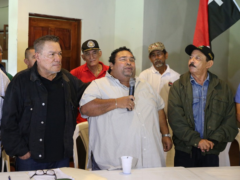 combatientes