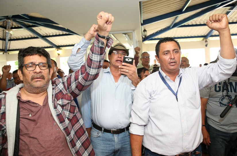combatientes