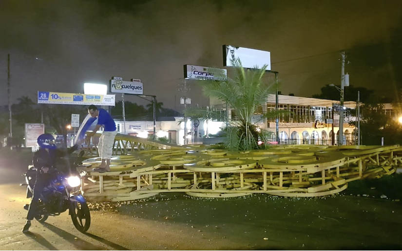 árbol
