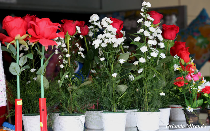 flores-queques