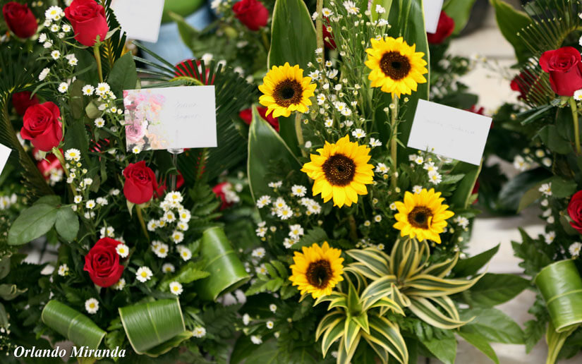 flores-queques