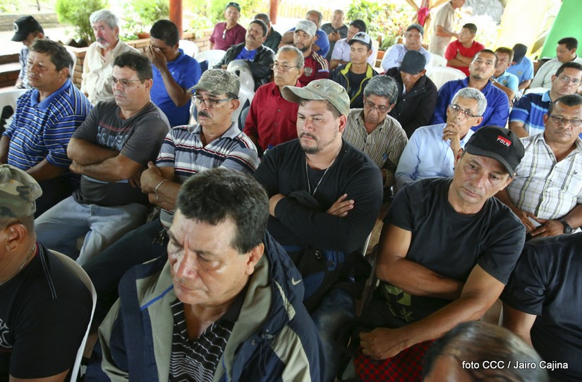 desmovilizados