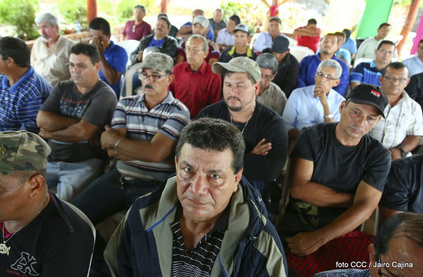 desmovilizados
