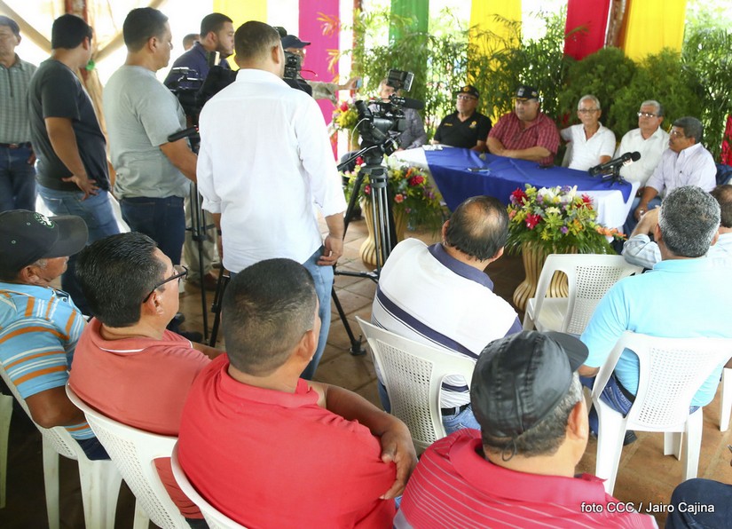 desmovilizados