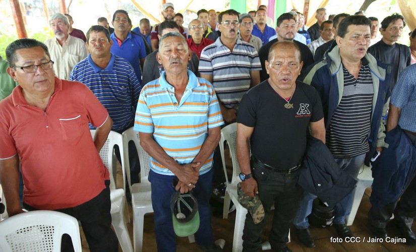 desmovilizados