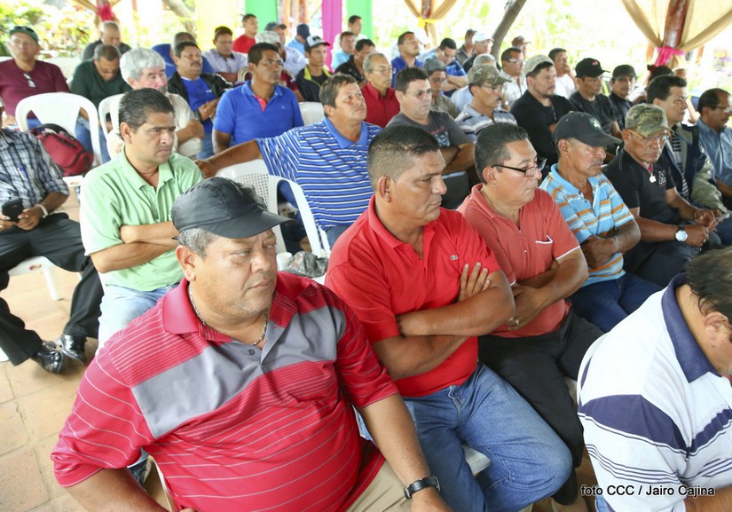 desmovilizados