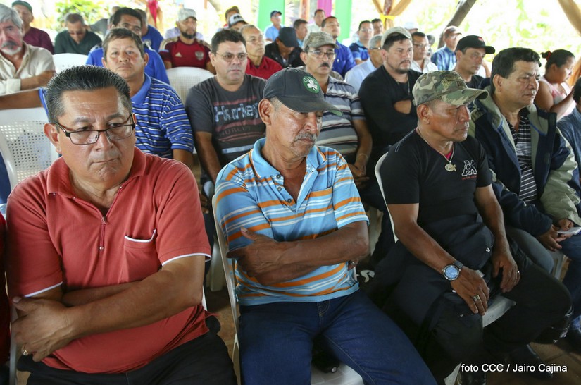 desmovilizados