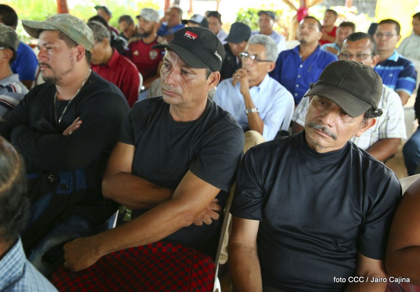 desmovilizados