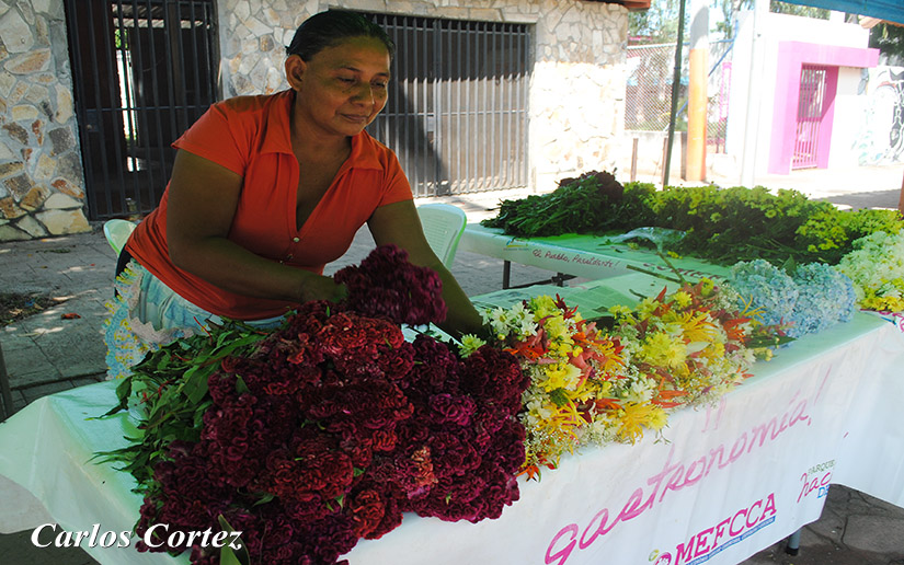 flores