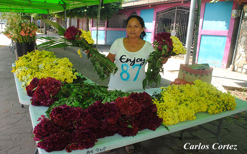 flores