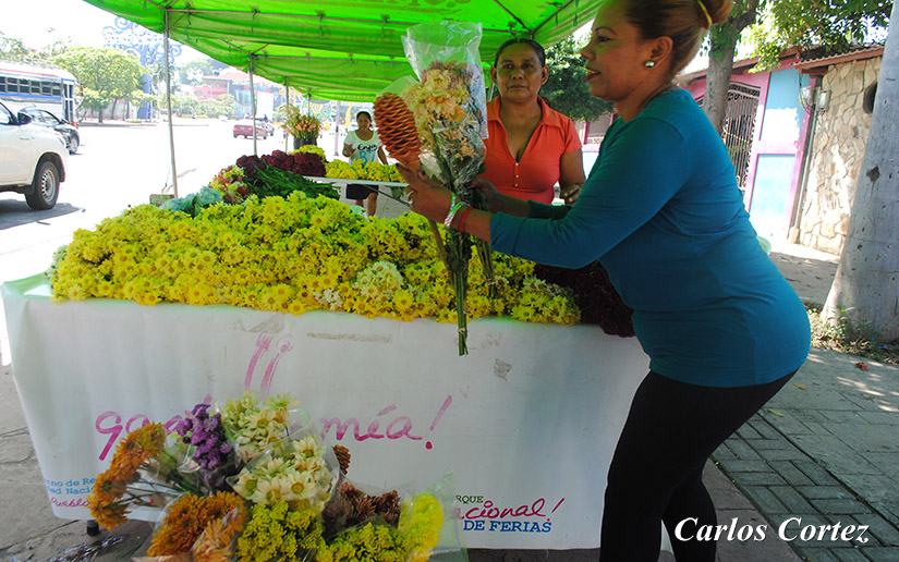 flores
