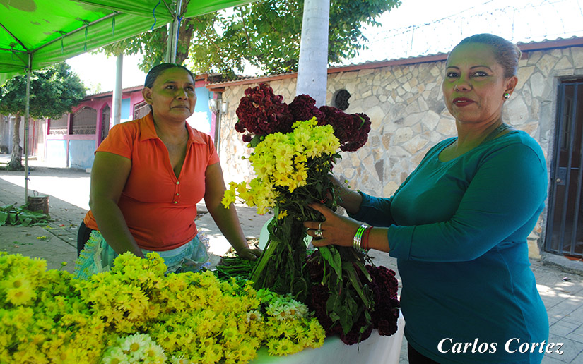 flores
