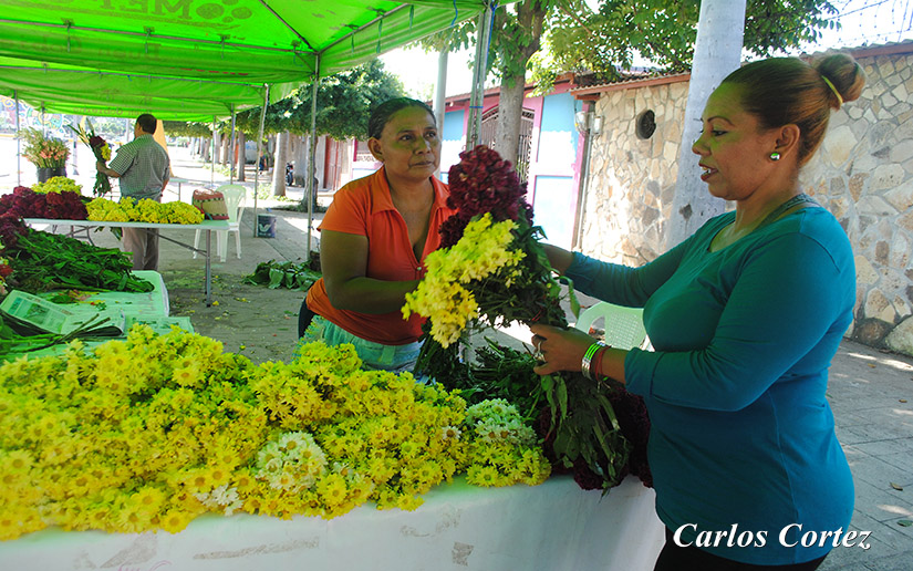 flores