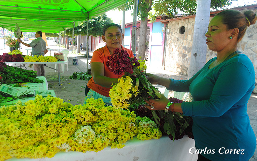 flores