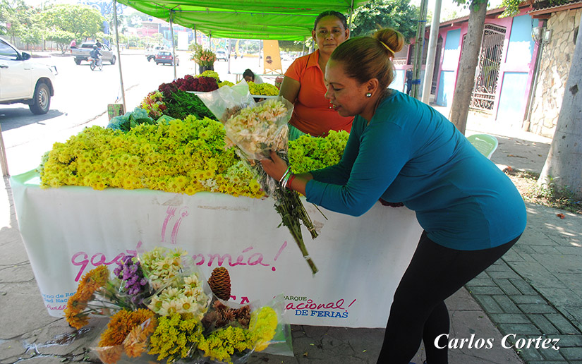 flores