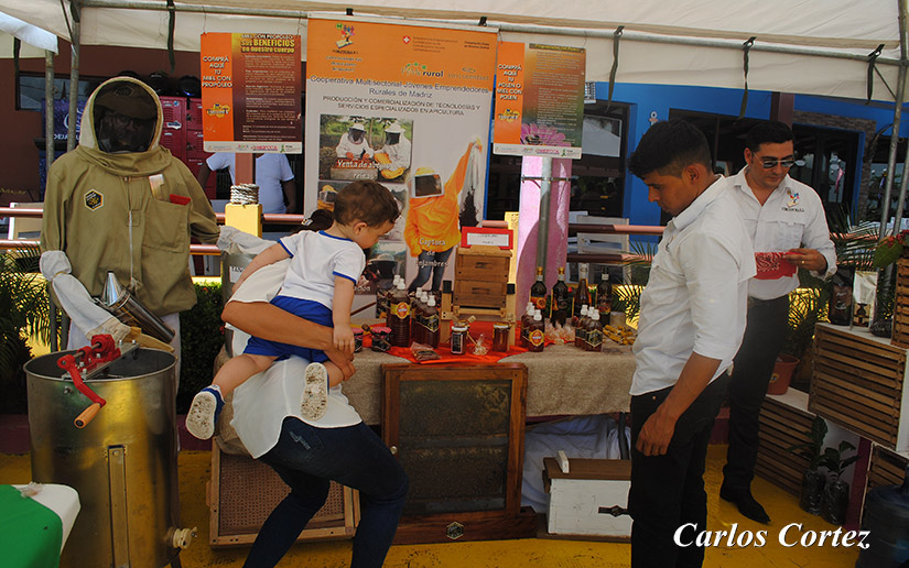 feria1