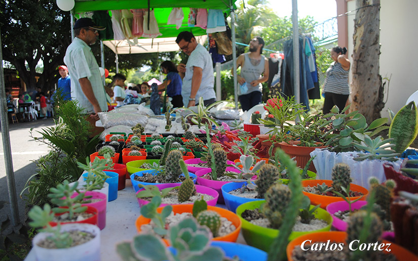 FERIA2