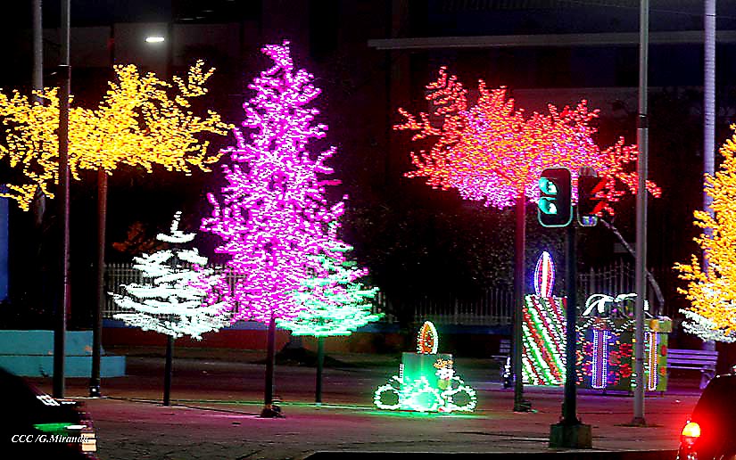luces