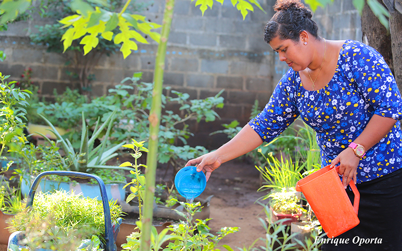 jardin1