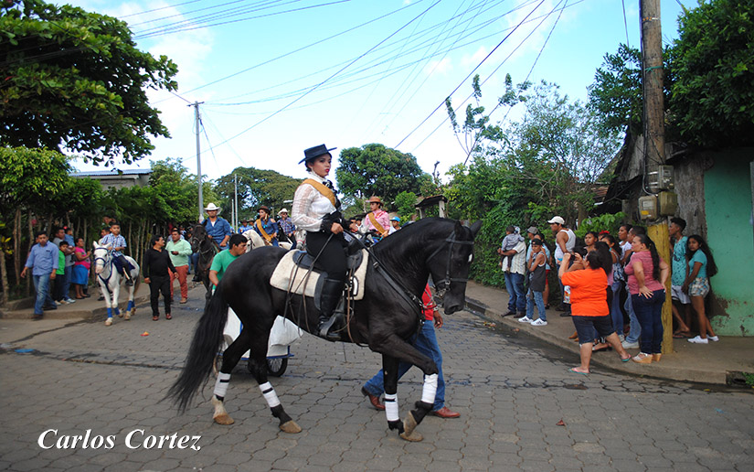 catarina2
