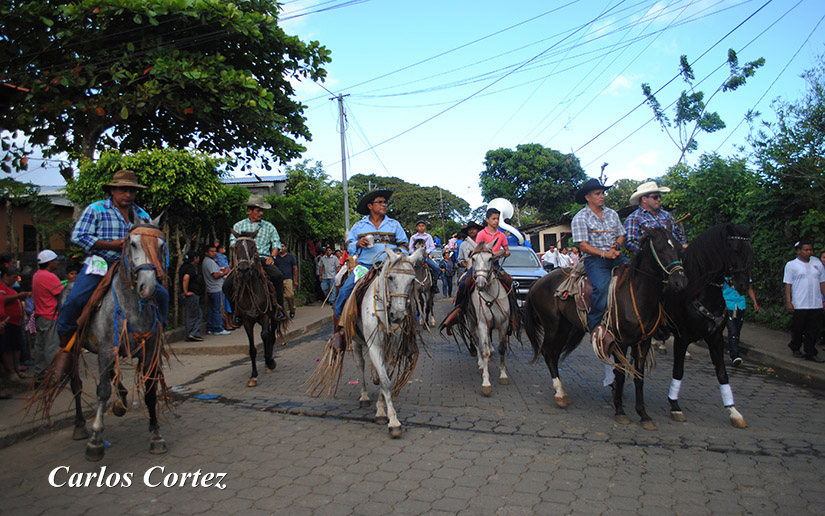 catarina2