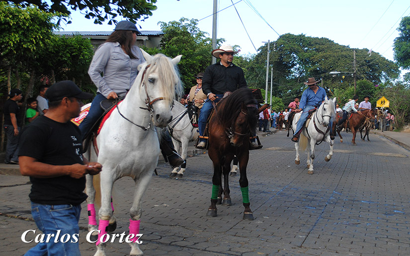 catarina2