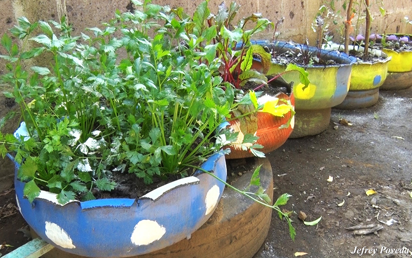 patio-saludable