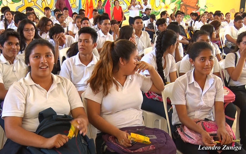madroño