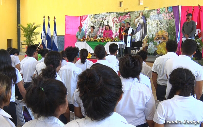 madroño