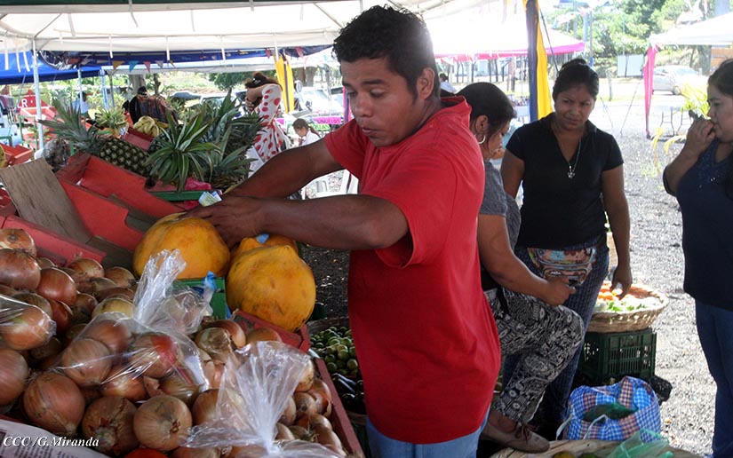 MERCADO1