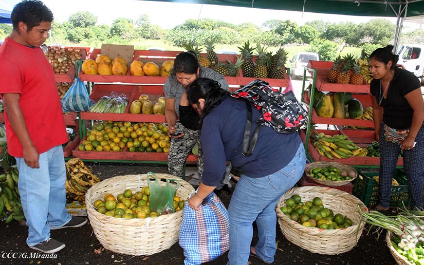 MERCADO1